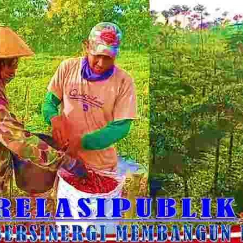 Sutrisno, Kepala Desa Jimbar Bersama Warto Petani Milenial